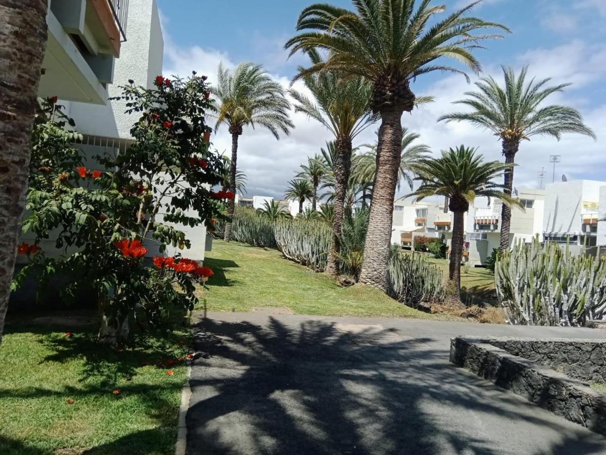 ארונה Bonito Apartamento De 1 Habitacion מראה חיצוני תמונה